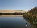 Oasi di Siwa_61